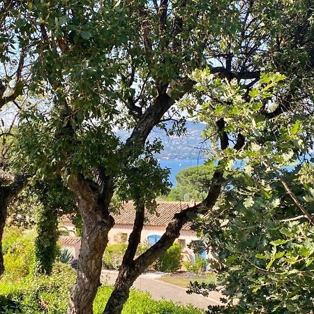Villa Vue Mer Donnant Sur Le Golfe De St Tropez, 2 Chambres, 6 Pers, Piscine Commune Saint-Tropez Eksteriør bilde